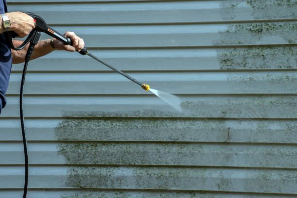 Best Gutter Cleaning  in Mount Gay Shamrock, WV